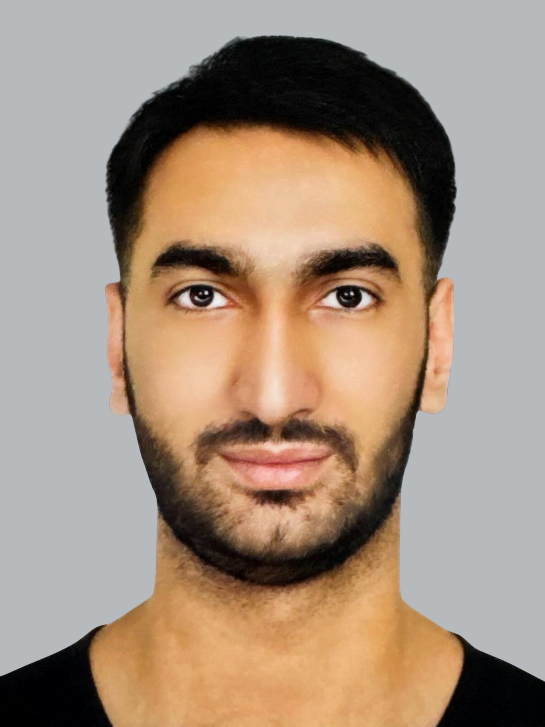 Senior software engineer developing high performance systems