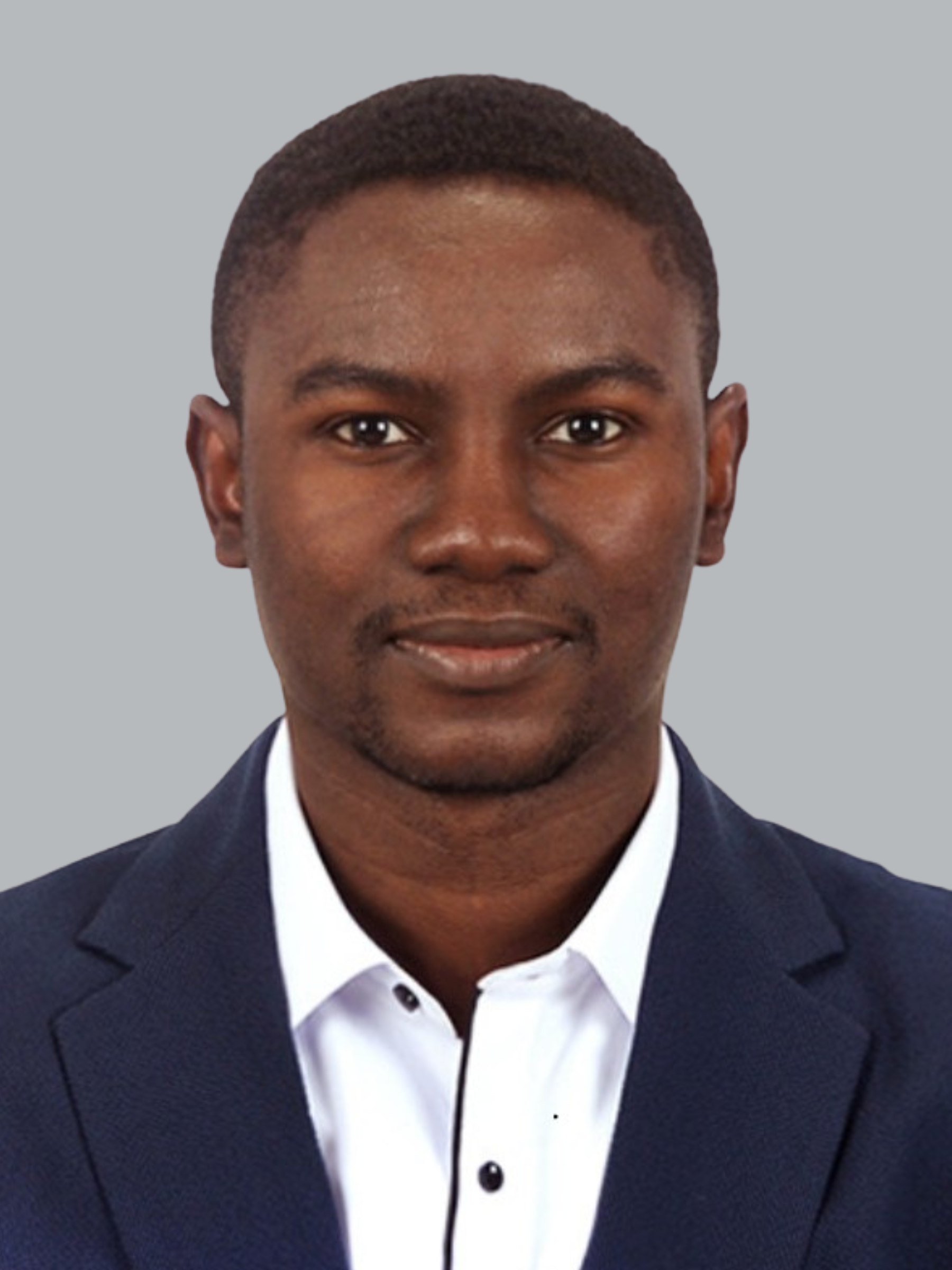 IT support engineer resolving system and network issues